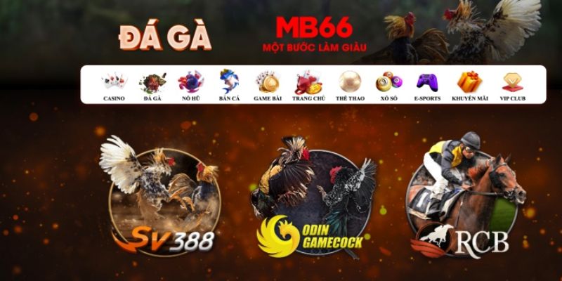 pay alo789 Bài Poker Hoàn Toàn Mỹ
