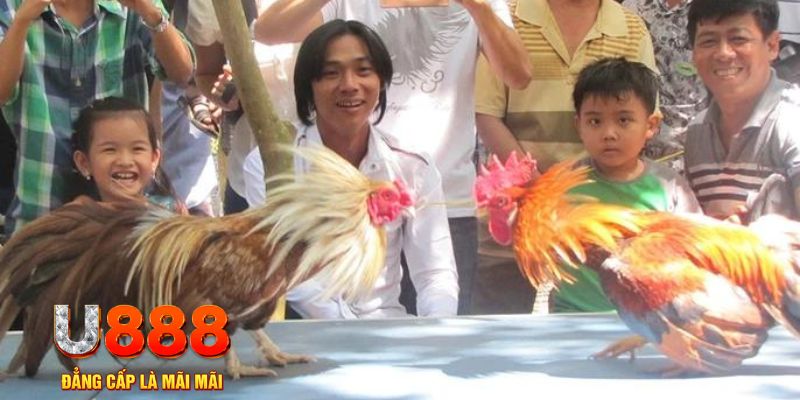 pay alo789 mơ thấy nổ hũ đánh con gì