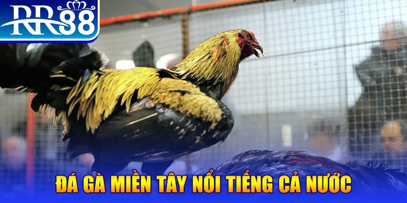 pay alo789 đăng nhập liêng miễn phí