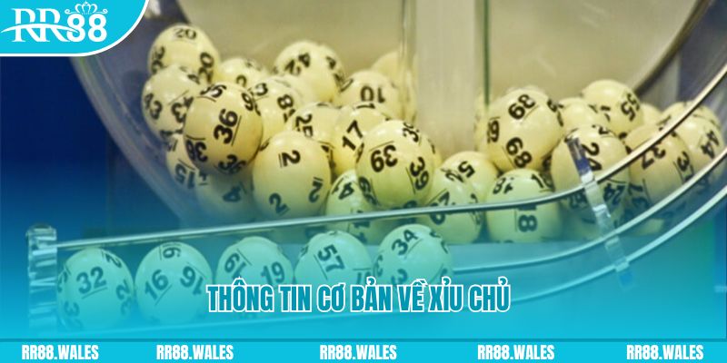 pay alo789 baccarat long bảo là gì