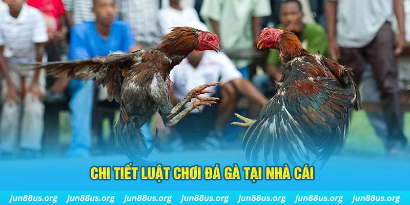 pay alo789 đá gà campuchia