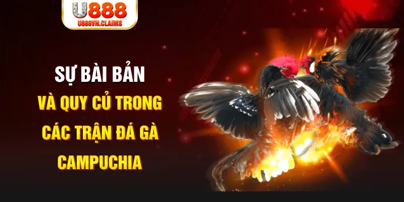 pay alo789 baccarat lừa đảo như thế nào