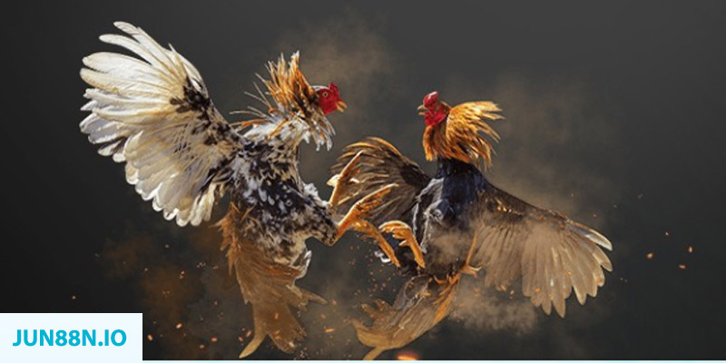 pay alo789 bắn cá long vương