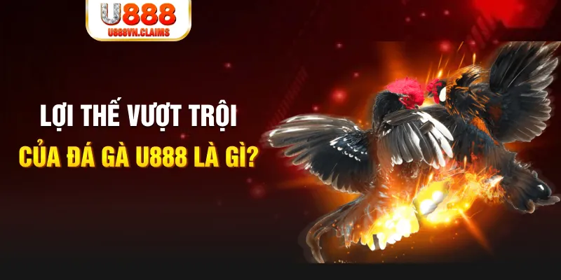 pay alo789 888 slot là gì